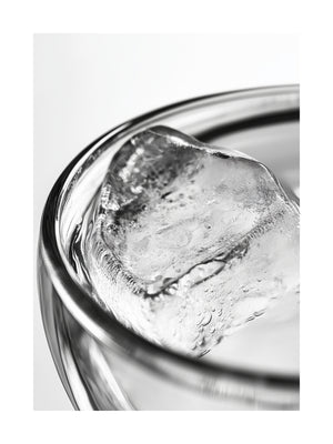 Frozen Elegance Ice Cube Poster