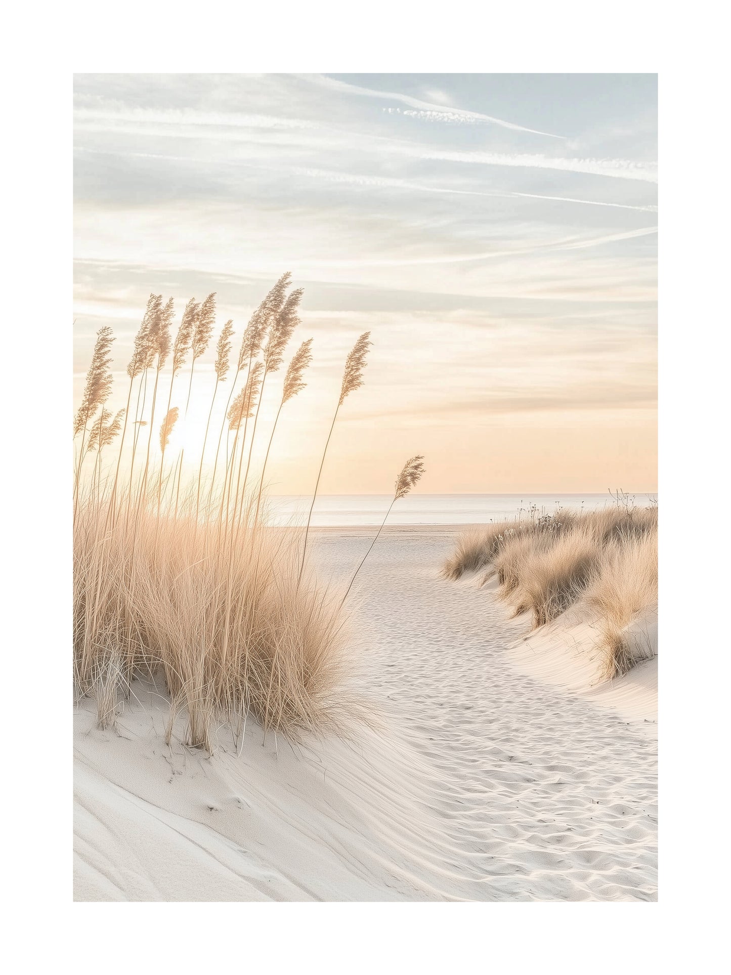 Poster of beach reeds in white sand dunes at sunset