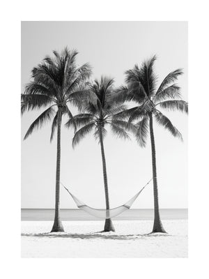 Palm Harmony Poster