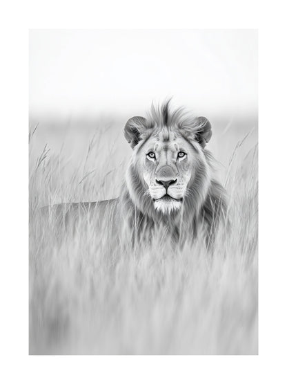 Black and white portrait of a lion lying in tall grass