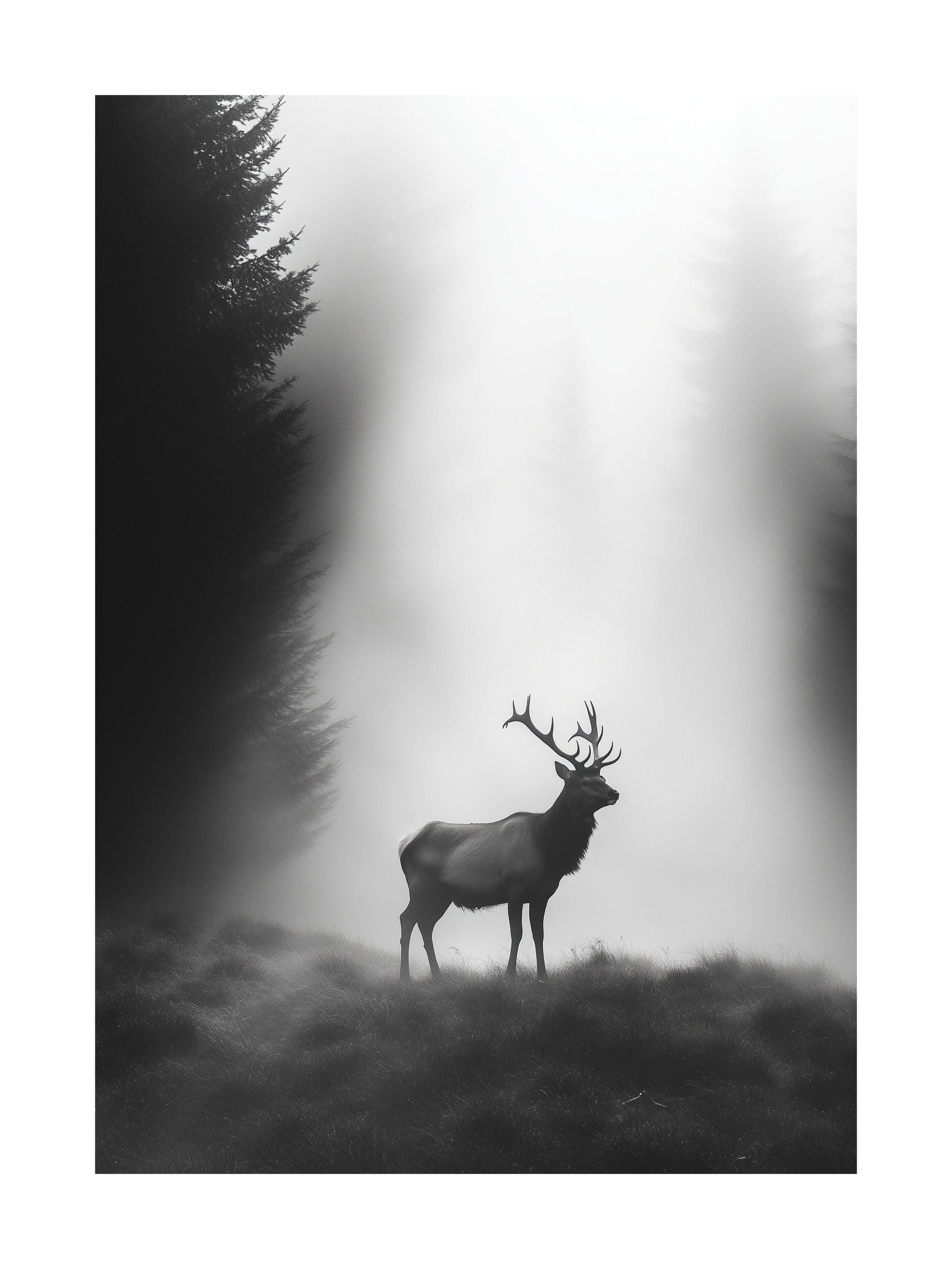 Silhouette of a stag standing in a foggy forest clearing