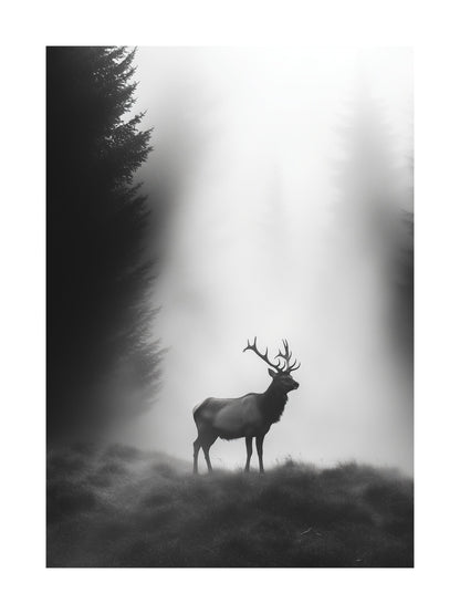 Silhouette of a stag standing in a foggy forest clearing