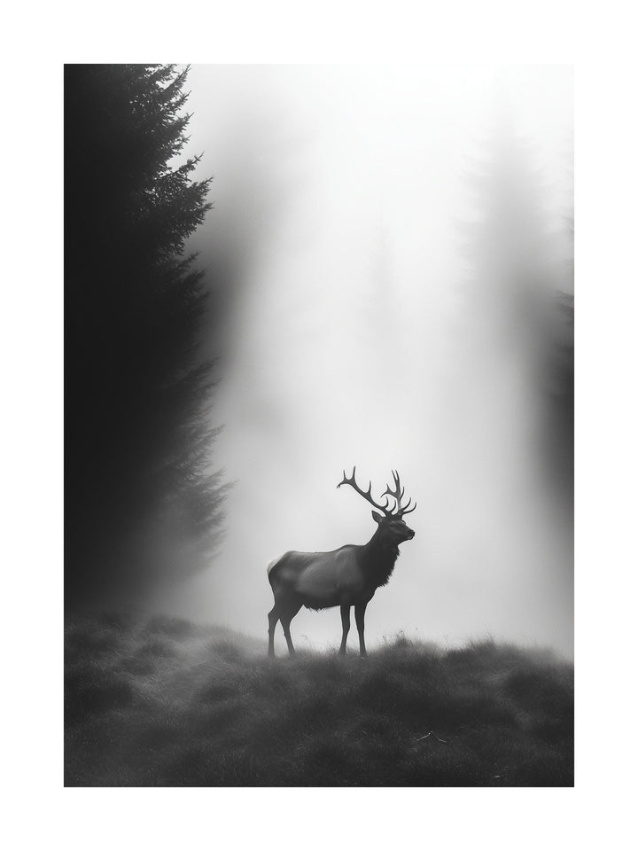 Silhouette of a stag standing in a foggy forest clearing