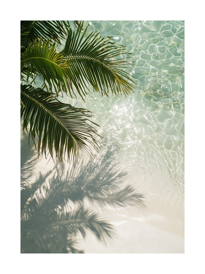 Overhead photo of palm leaves over sunlit clear water. Ideal for wall art in your home, office, or studio.