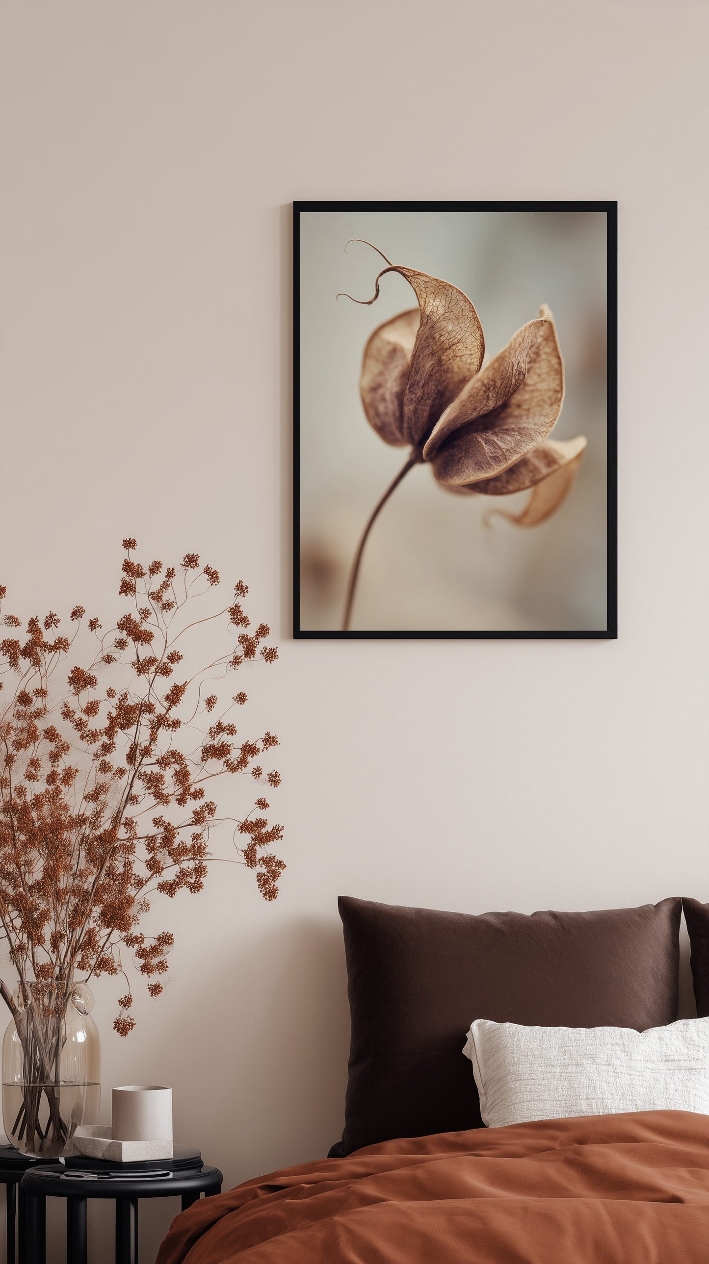 Dried Seed Pod Poster