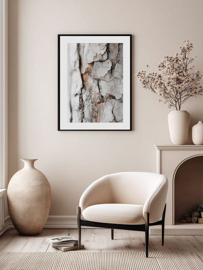 Birch Texture Close-Up Poster