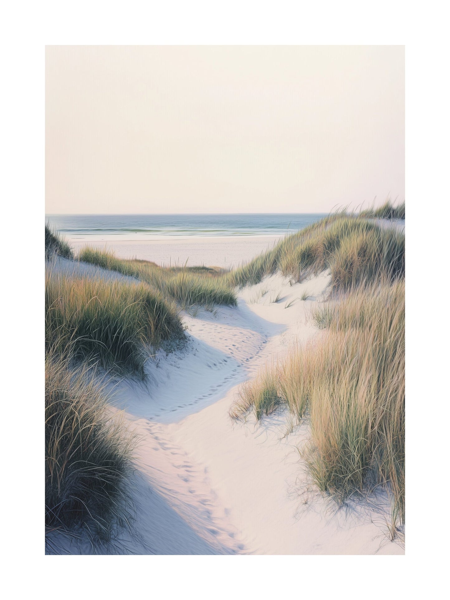 White sand dune path with coastal grass leading to the sea in Sweden