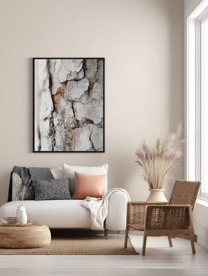 Birch Texture Close-Up Poster