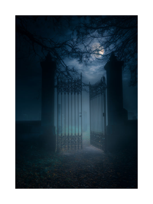 Poster of an iron cemetery gate at night with moonlight