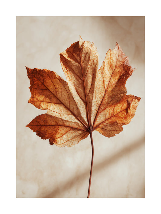 Poster of golden autumn maple leaf with visible veins