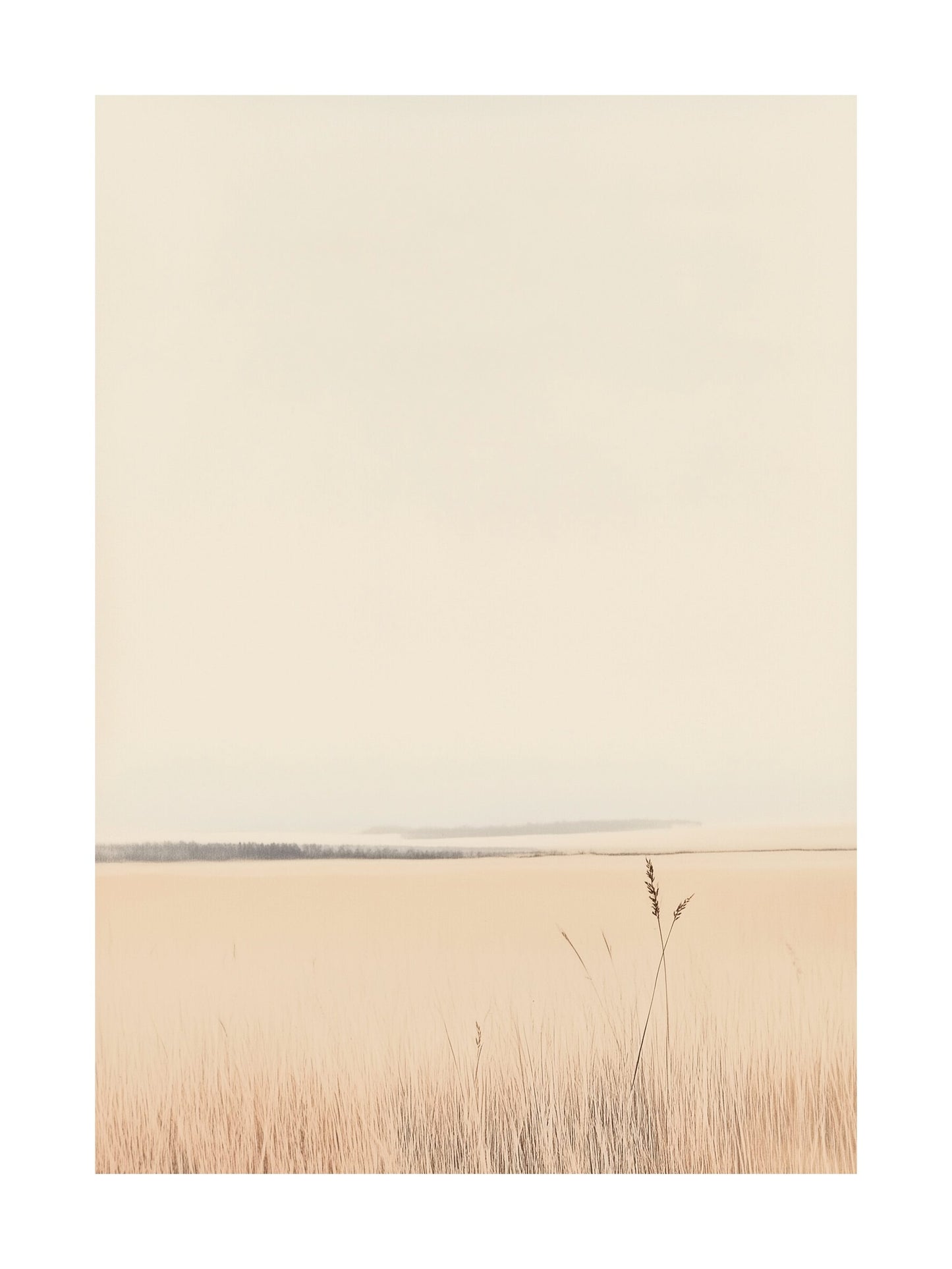Minimalist photo of pale coastal fields fading into the horizon