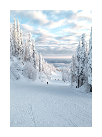 Wide ski slope surrounded by snow-covered trees under a blue sky.