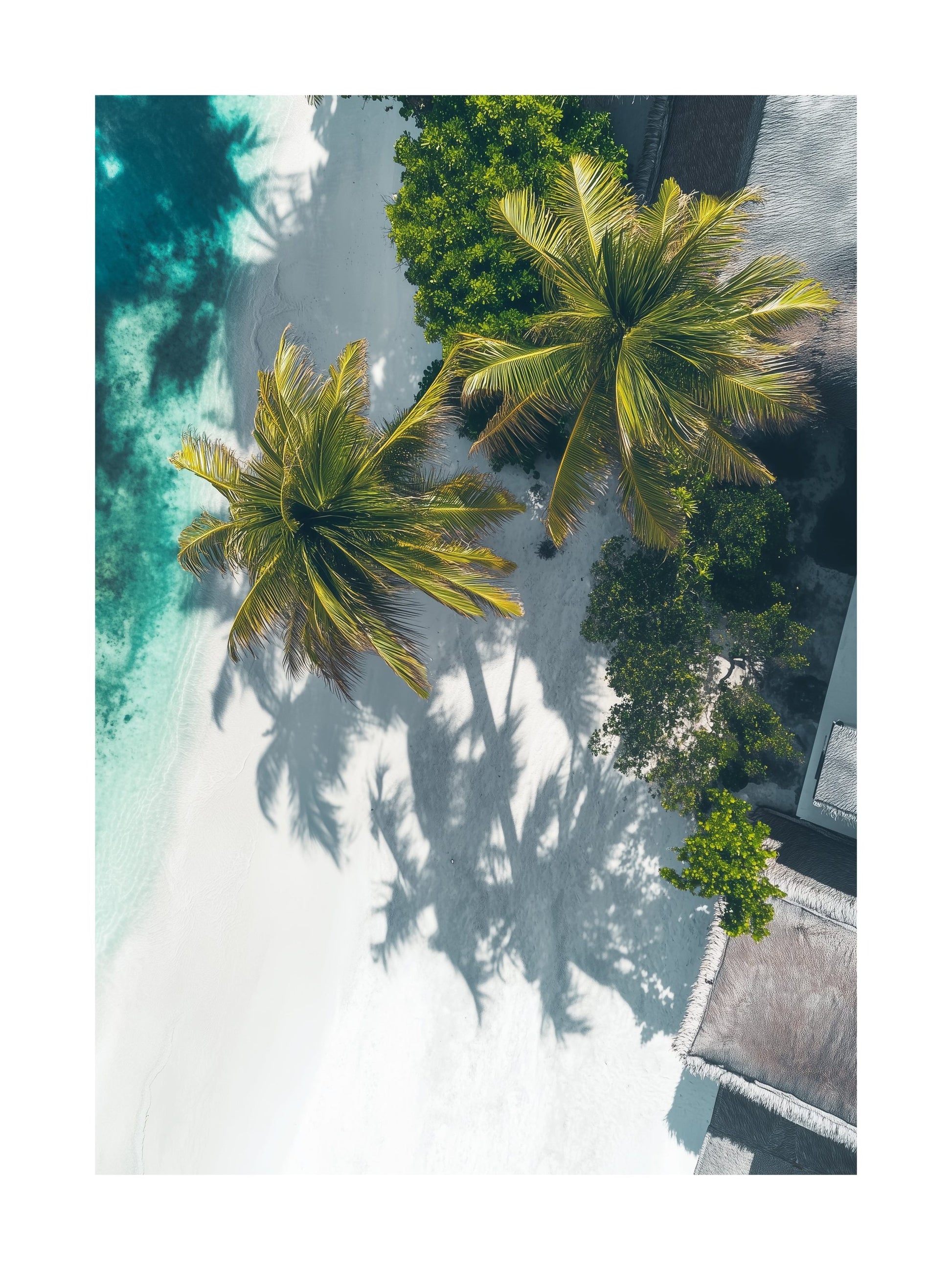Top-down view of palm trees over tropical beach and rooftops. Ideal for wall art in your home, office, or studio.