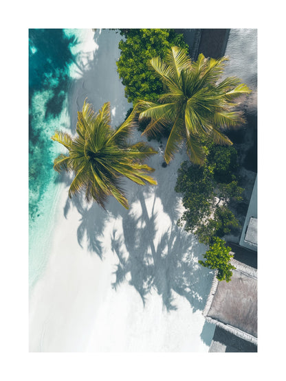 Top-down view of palm trees over tropical beach and rooftops. Ideal for wall art in your home, office, or studio.