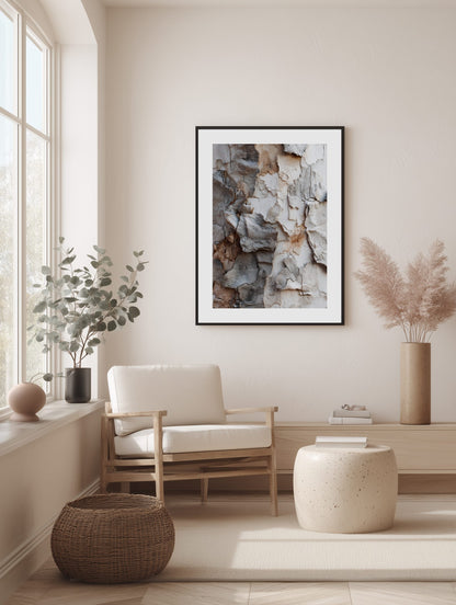 Peeling Bark Texture Poster