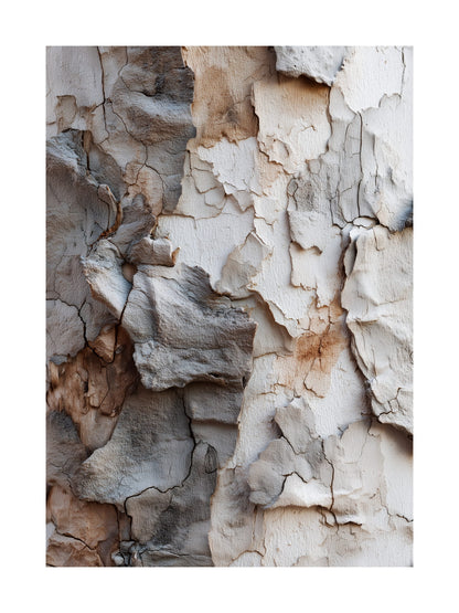 Peeling bark texture in neutral earthy tones Scandinavian wall art