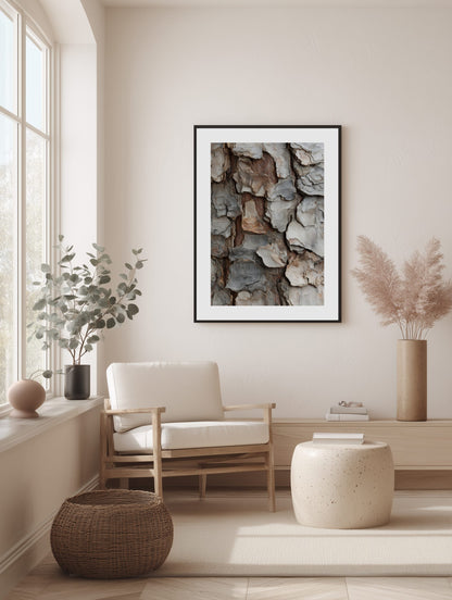 Layered Pine Bark Poster