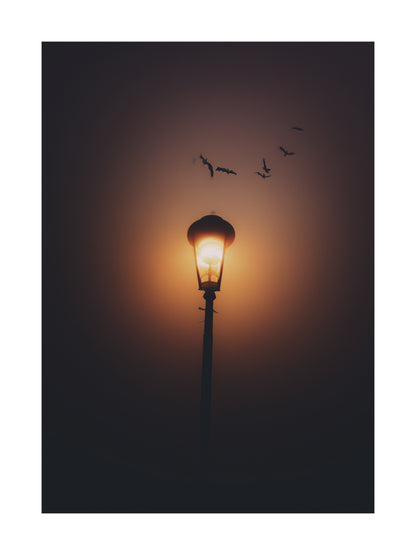 Streetlamp glowing in foggy darkness with bats flying overhead