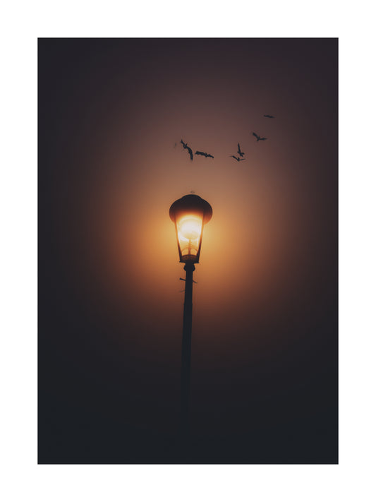 Streetlamp glowing in foggy darkness with bats flying overhead