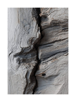 Weathered Driftwood Texture Poster