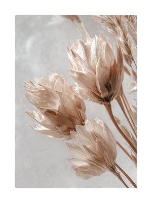 Dried Floral Close-Up Poster