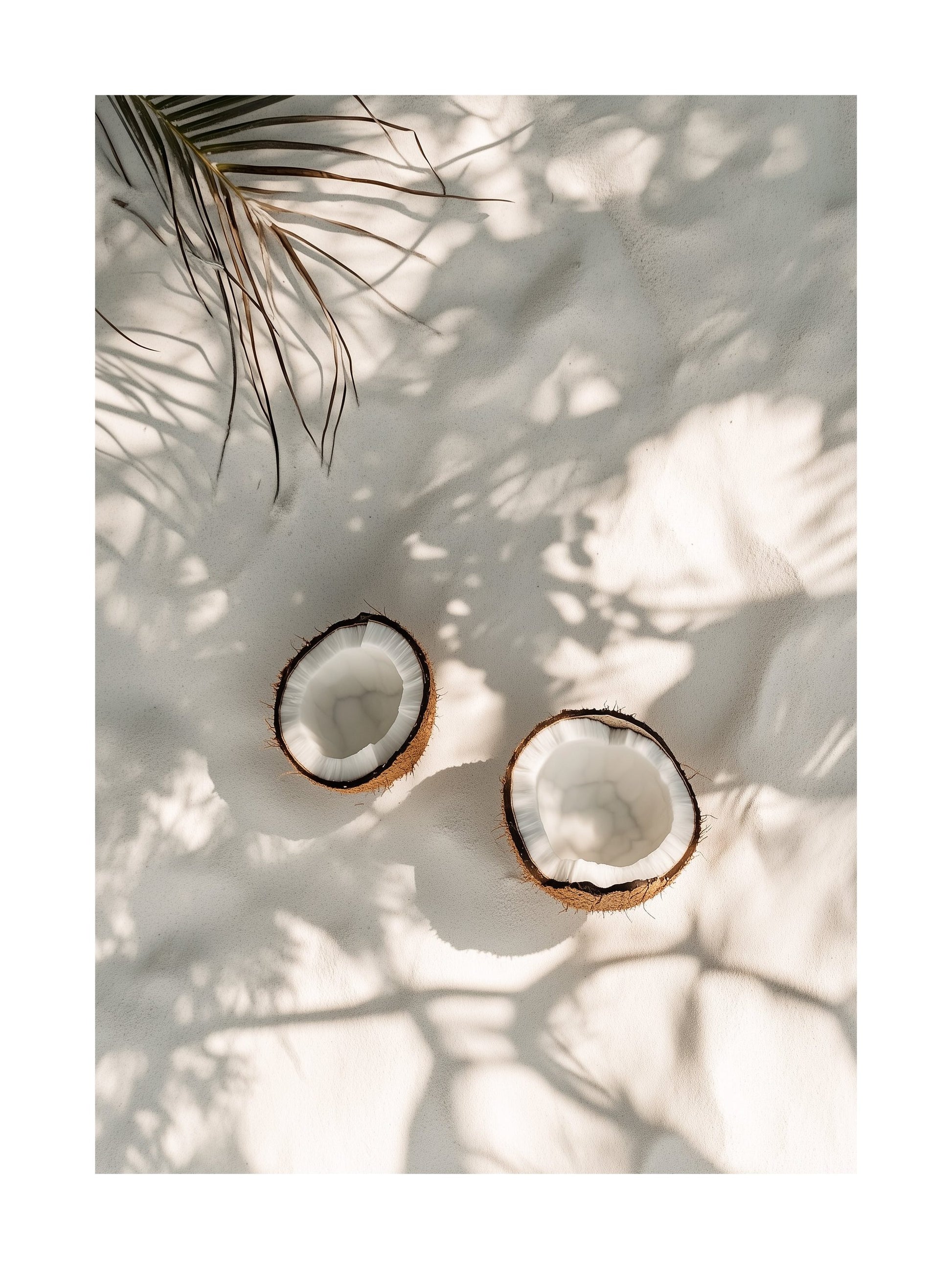 Coconut halves on white sand with soft tropical shadows from palm leaves. Ideal for wall art in your home, office, or studio.