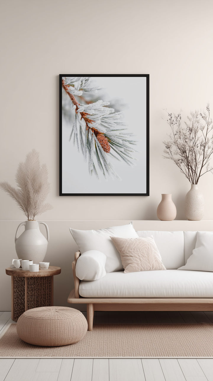 Frosted Pine Branch Poster