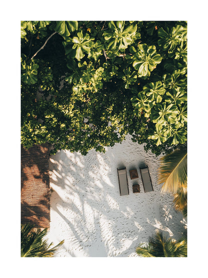 Aerial image of sun chairs under palm trees in tropical resort. Ideal for wall art in your home, office, or studio.