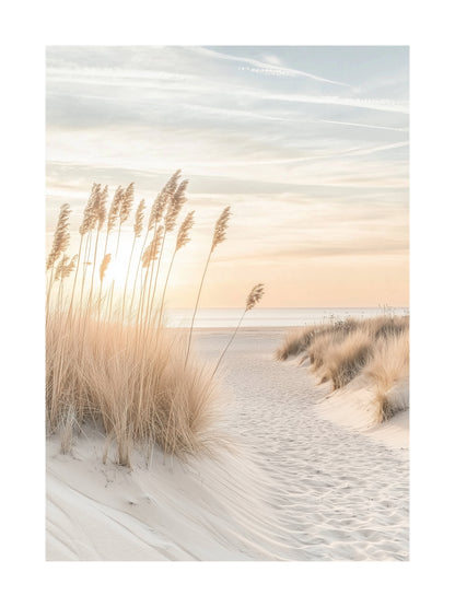 Poster of beach reeds in white sand dunes at sunset