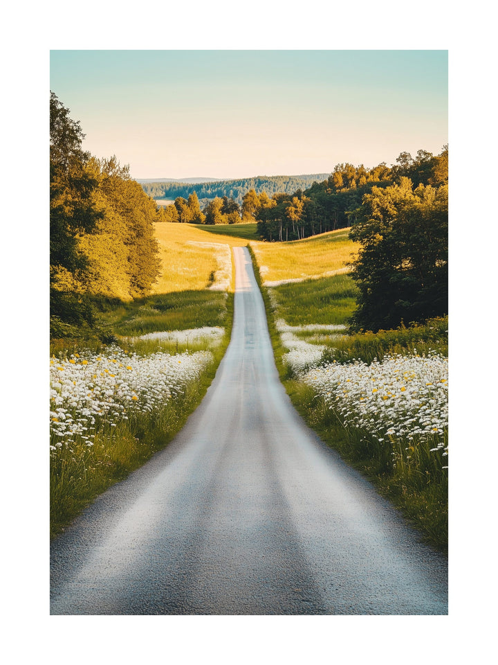 Long empty road with wildflowers on each side in the Swedish countryside