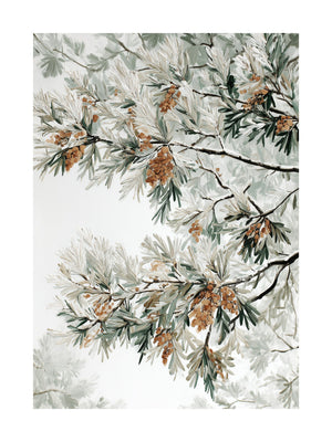 Winter Pine Branches Poster