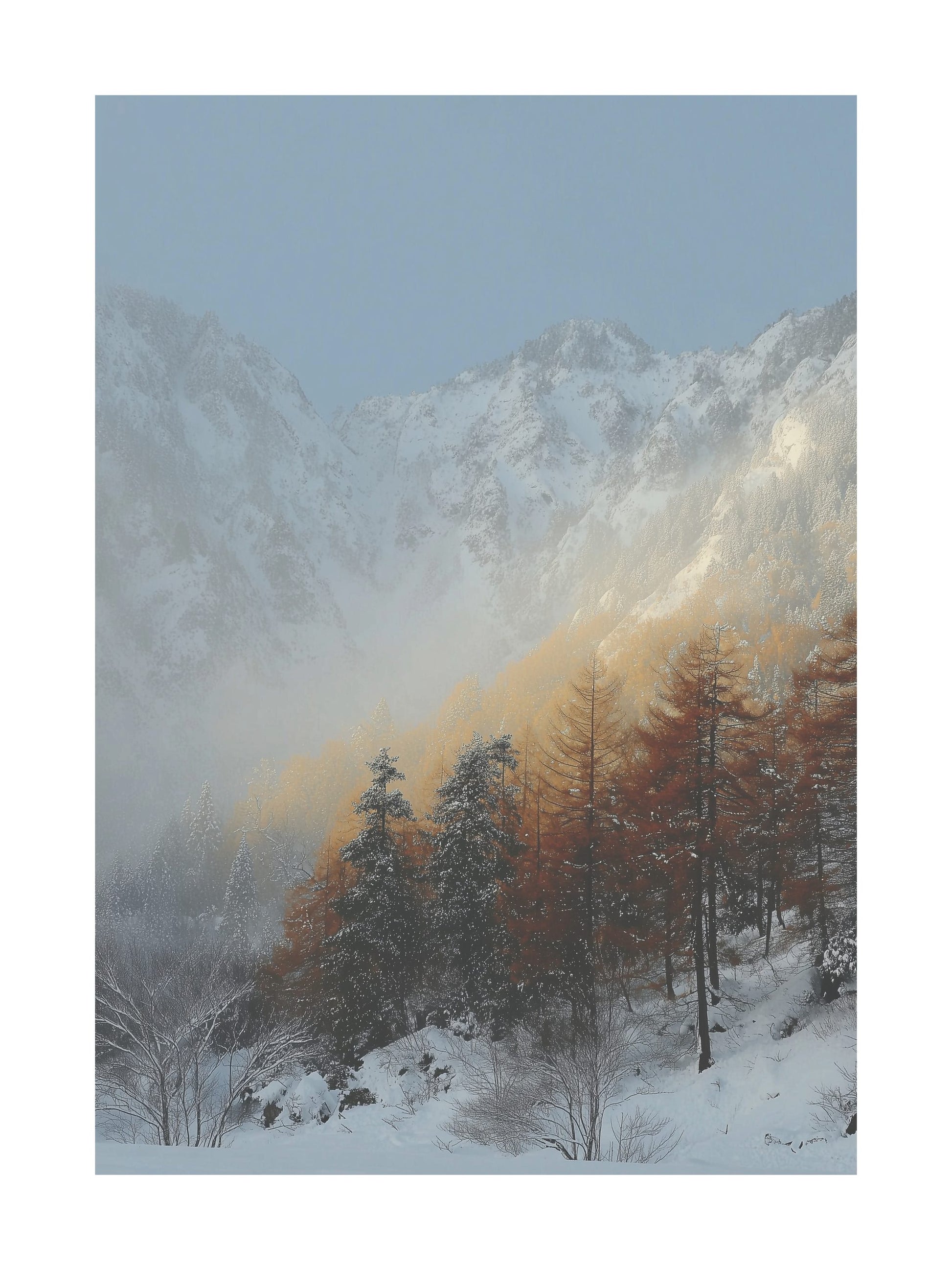 Forest covered in snow with distant mountain hills under blue sky.