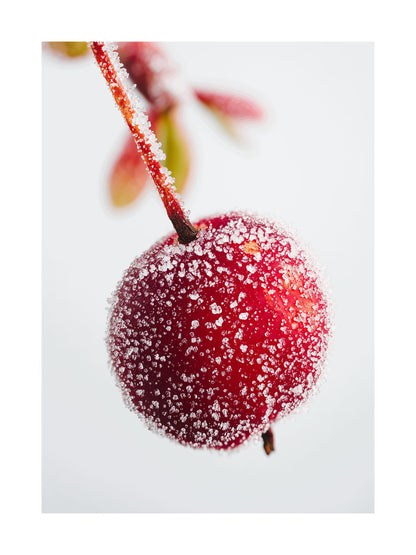 Close-up macro of a red berry with frosty ice crystals on a white background.