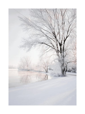 Winter Lake Reflection Poster