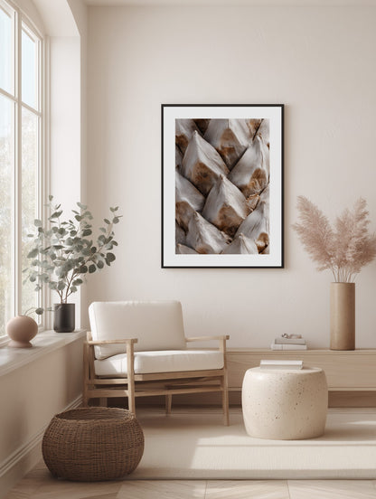 Natural Pine Cone Texture Poster