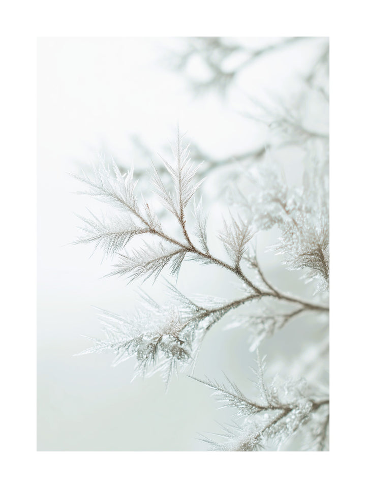 Close-up of frosted branches covered in ice crystals on a soft white background.