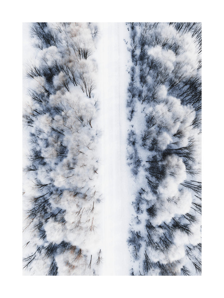 Aerial photograph of a snowy forest with a white road cutting through the trees.