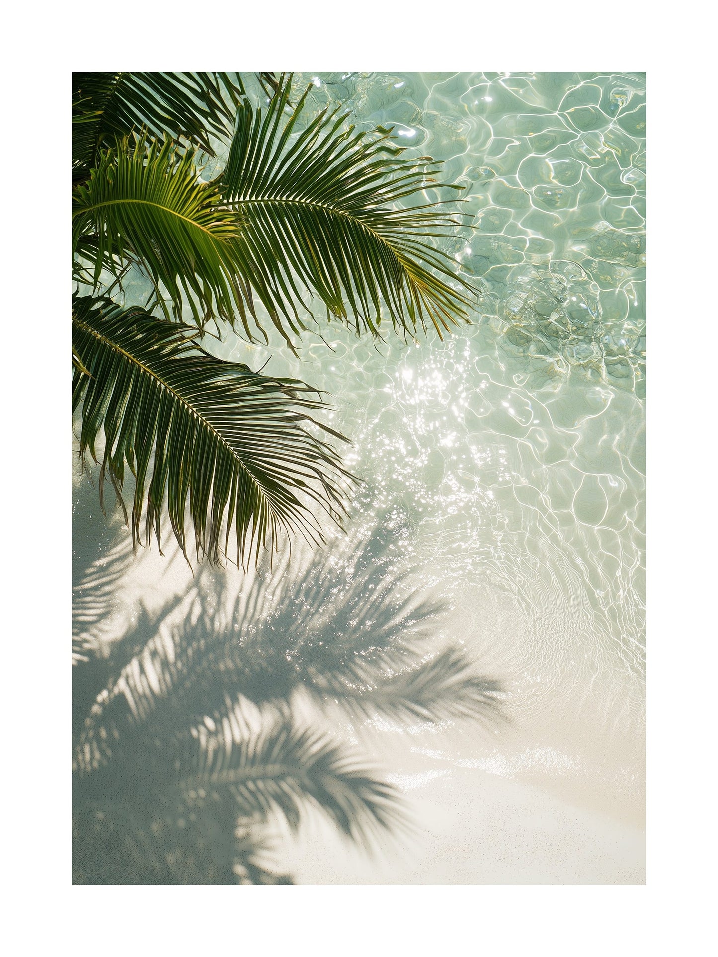 Overhead photo of palm leaves over sunlit clear water. Ideal for wall art in your home, office, or studio.