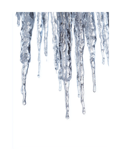 Macro photograph of shiny frozen icicles hanging in winter.