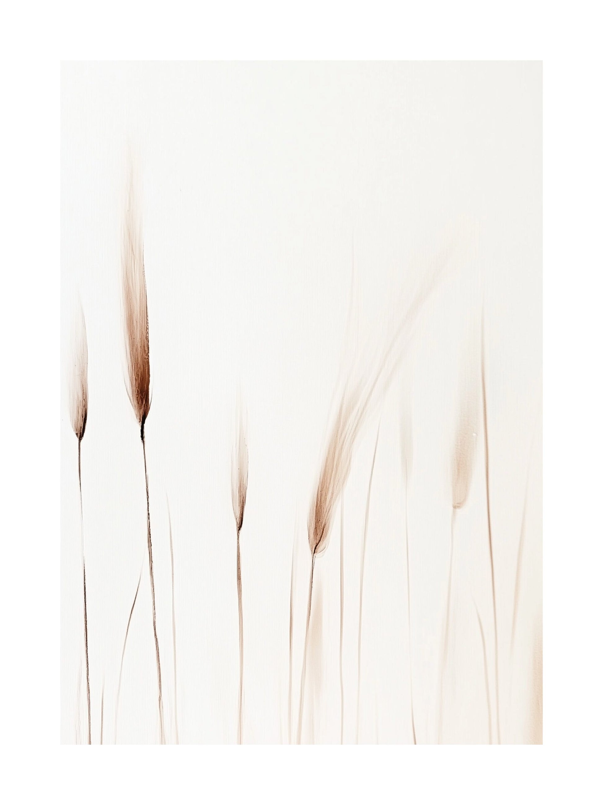 Minimalist poster with abstract wheat stalks in beige on white background