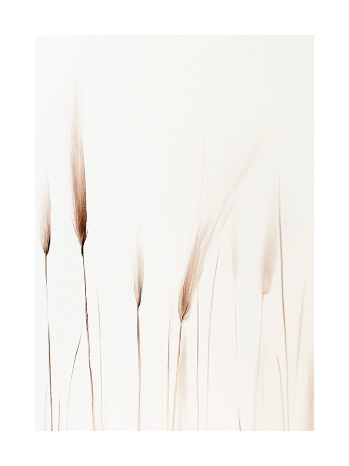 Minimalist poster with abstract wheat stalks in beige on white background