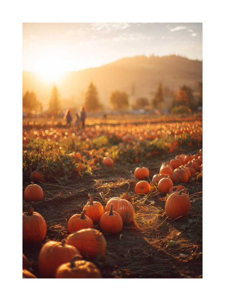 Poster of pumpkin patch at golden hour with children playing