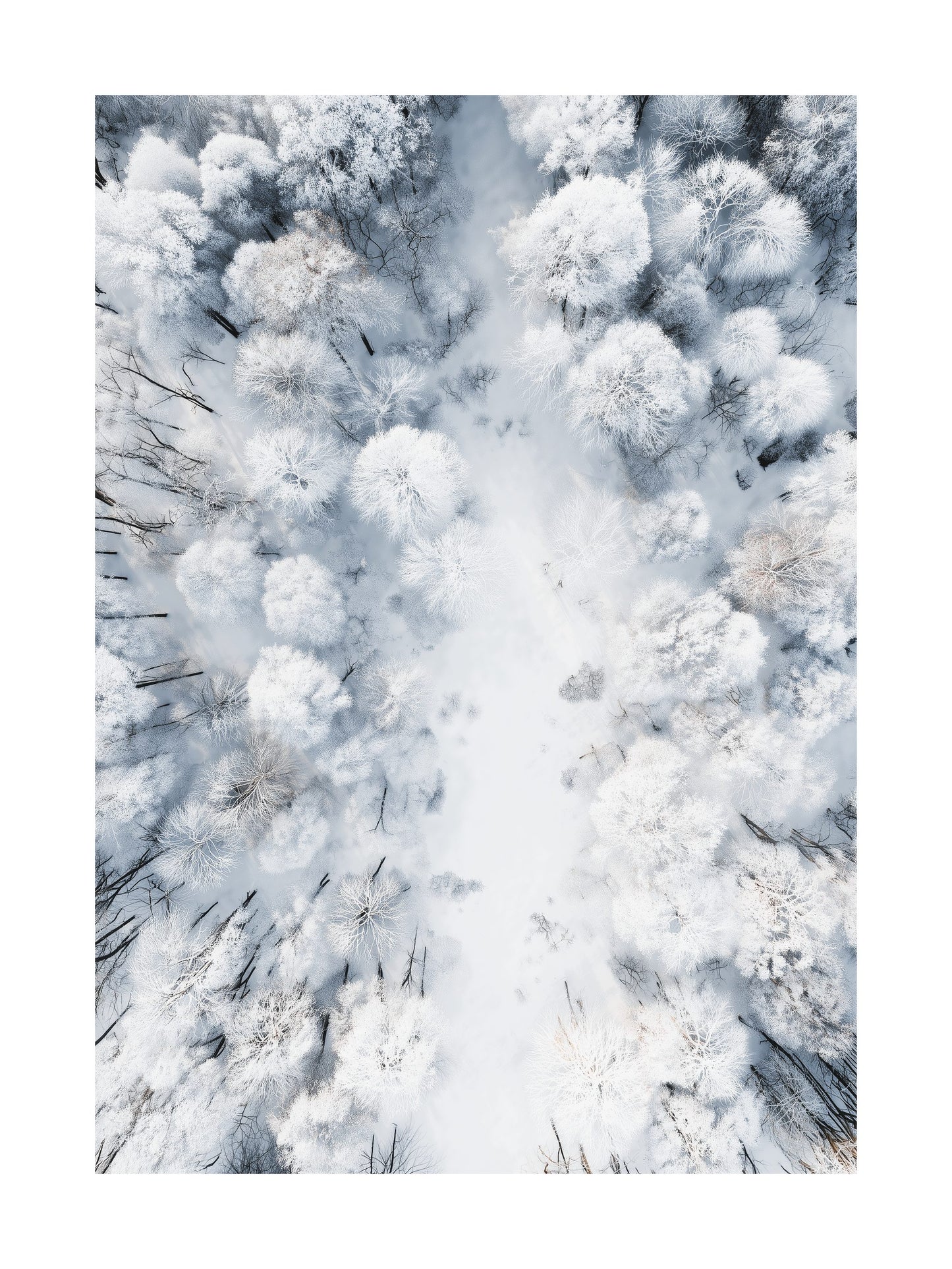 Aerial view of snow-covered forest trees forming natural winter patterns.