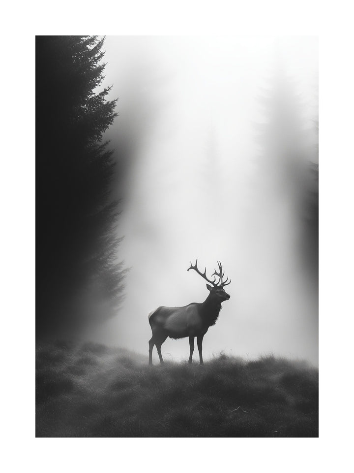 Silhouette of a stag standing in a foggy forest clearing