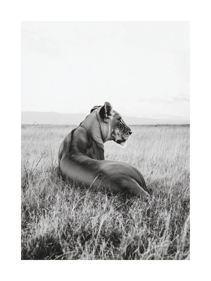 Black and white photo of a lioness resting in a grassy field
