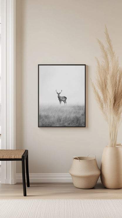 Lone Deer in Mist Poster