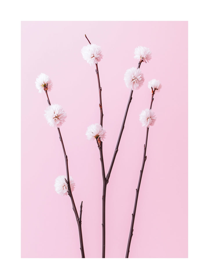 blushing branches decorative wall art - modern poster for home or office